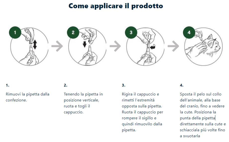 applicazione advantage 40 gatti e conigli