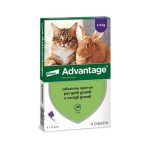 advantage 80 gatti e conigli