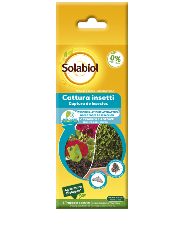 solabiol cattura insetti geranio e bosso