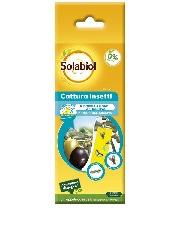 solabiol cattura insetti olivo