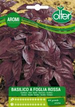 Basilico foglia rossa semi