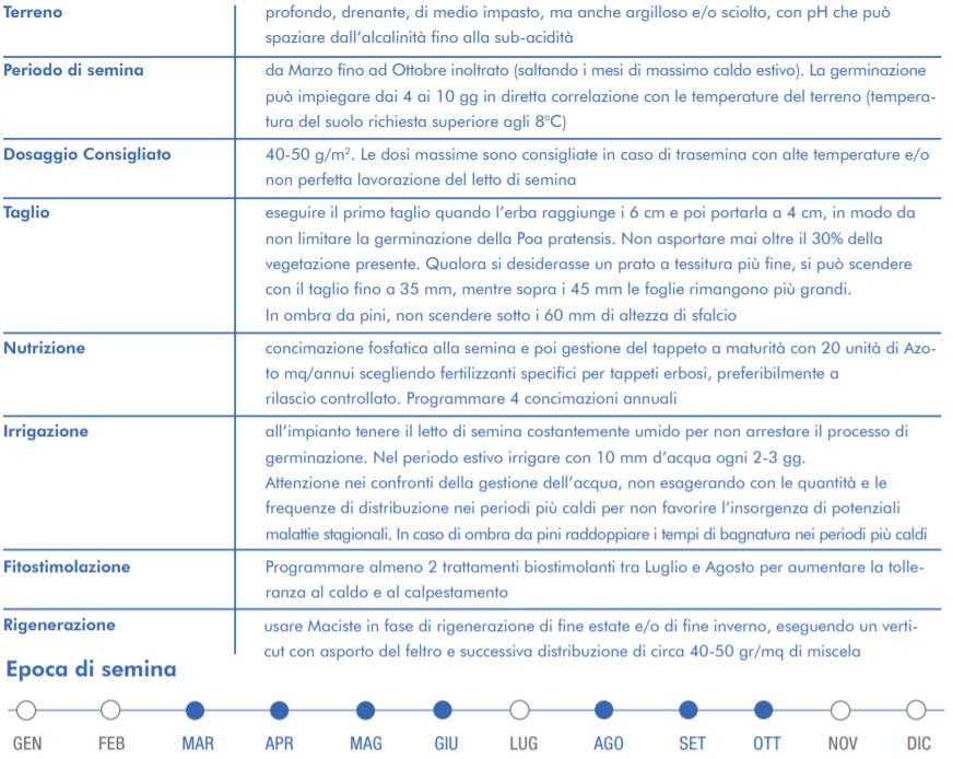 Sementi Prato Bottos Maciste consigli tecnici