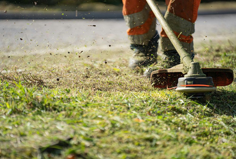 CURA E MANUTENZIONE DEL VERDE